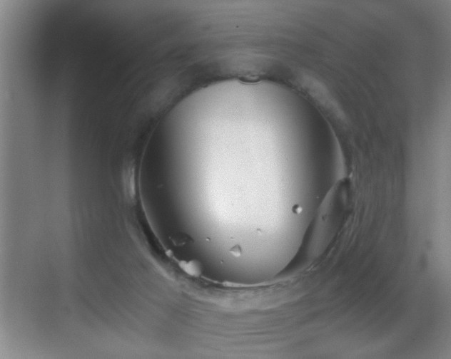 X0000069830021200605191151