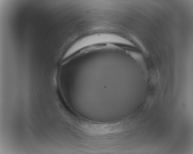 X0000069830023200605191151