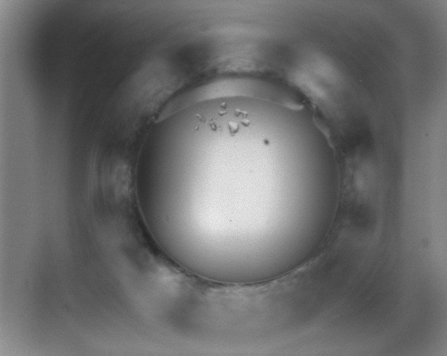 X0000069830025200605191151