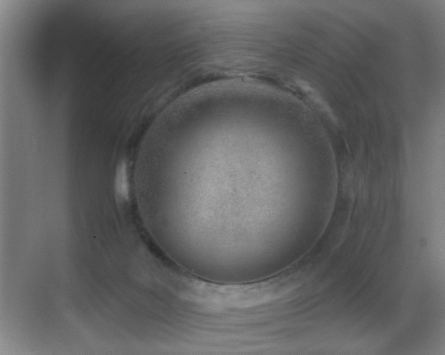 X0000069830026200605191151