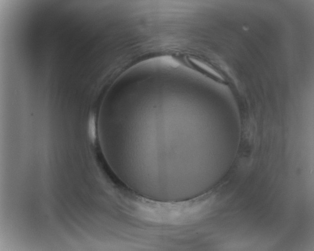 X0000069830027200605191151