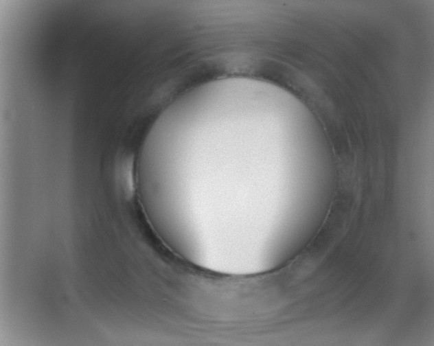 X0000069830028200605191151