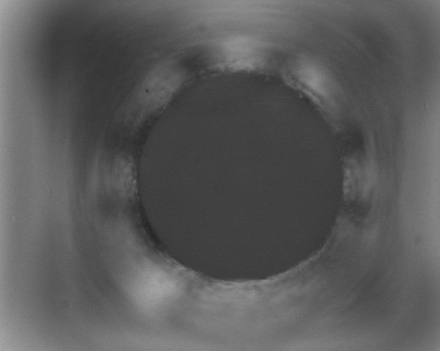 X0000069830029200605191151