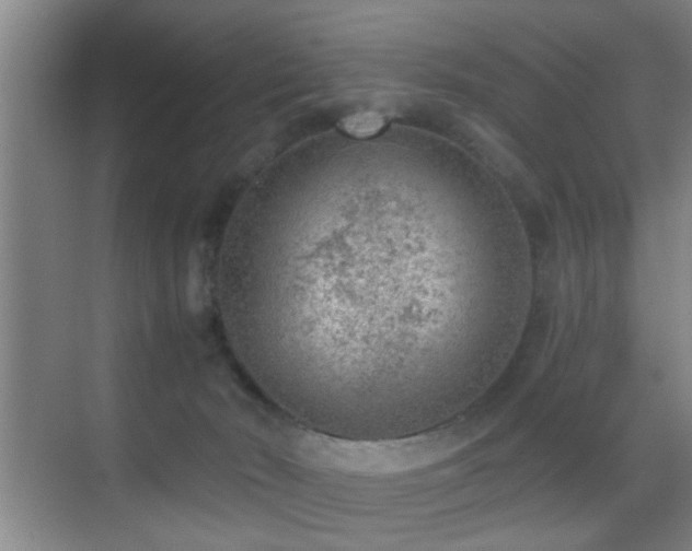 X0000069830030200605191151