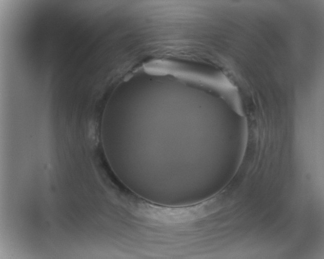 X0000069830031200605191151