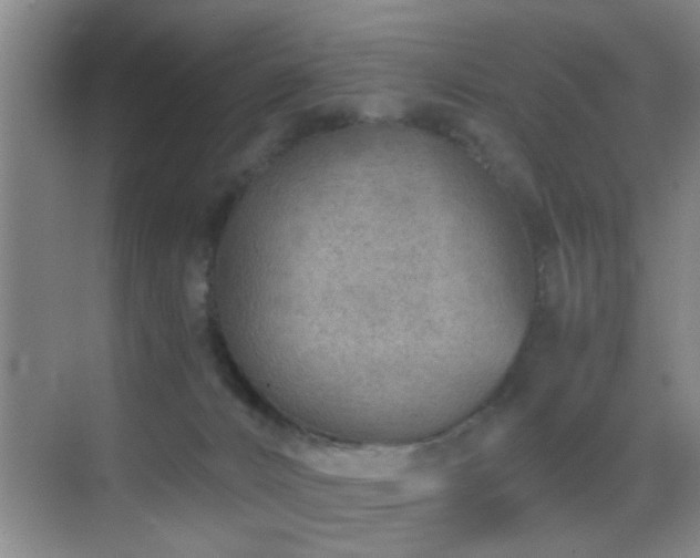 X0000069830032200605191151