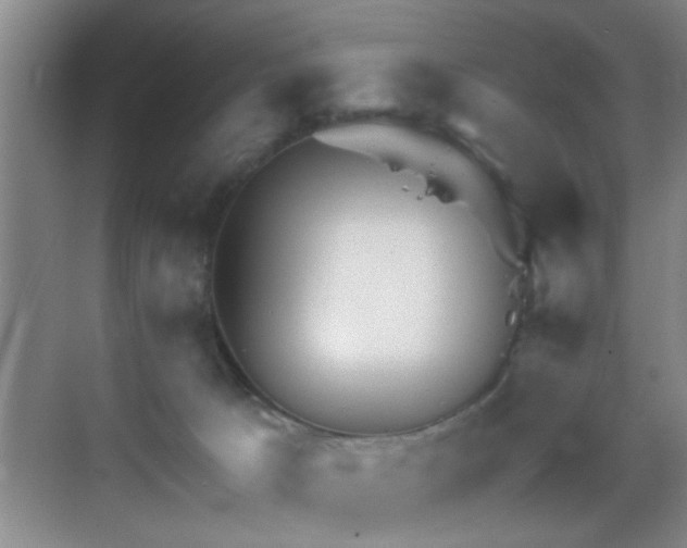 X0000069830033200605191151