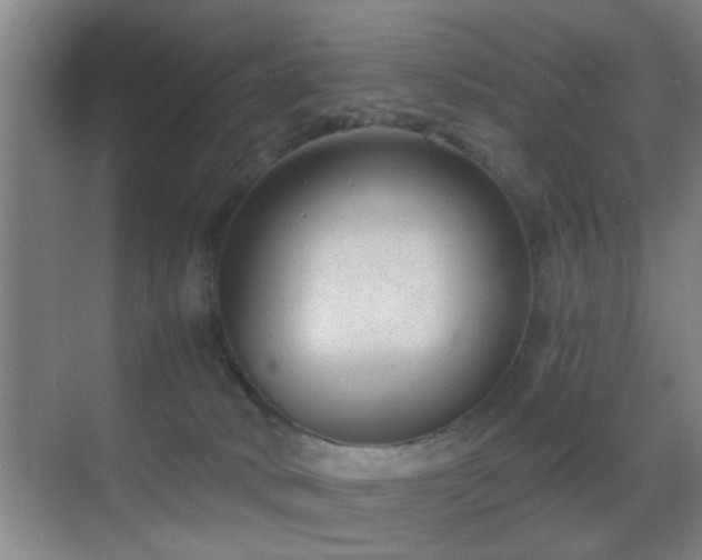 X0000069830034200605191151