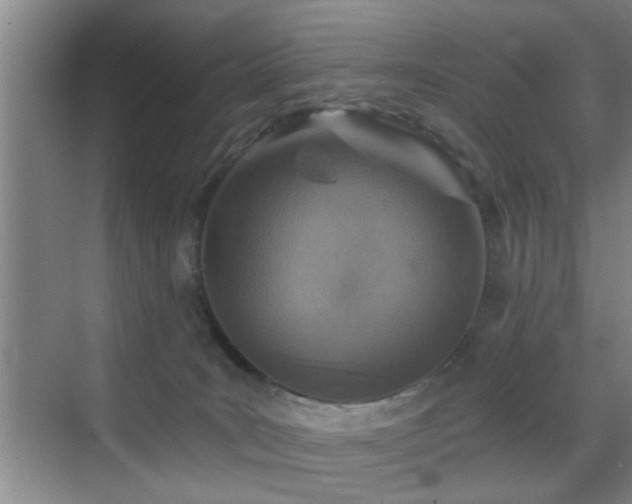 X0000069830035200605191151