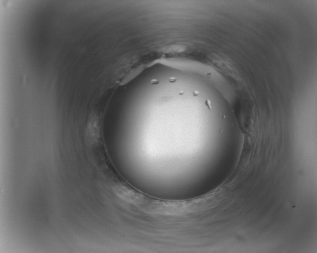 X0000069830037200605191151