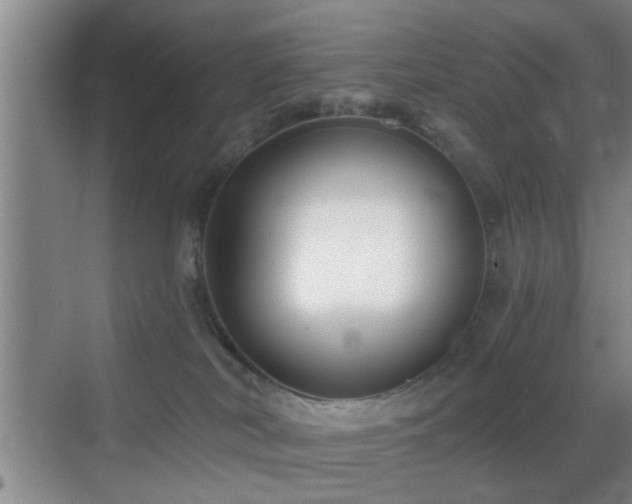 X0000069830038200605191151