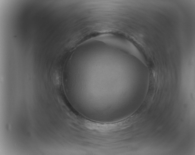 X0000069830039200605191151