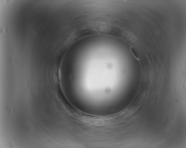 X0000069830040200605191151