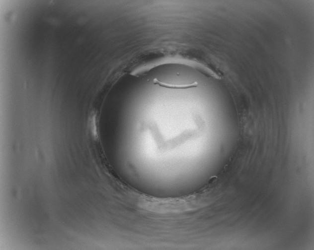 X0000069830042200605191151