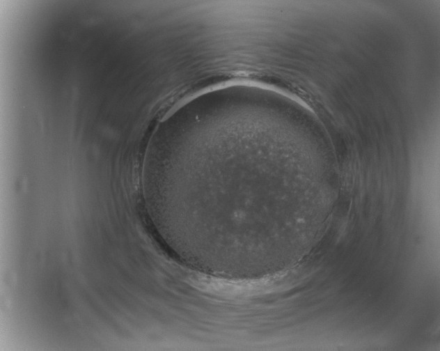 X0000069830043200605191151