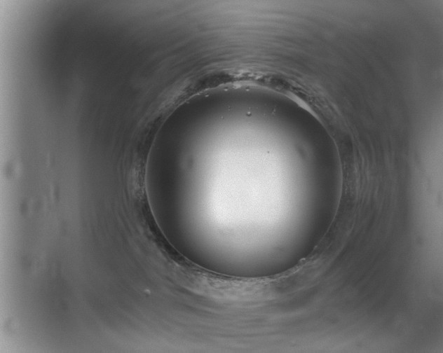 X0000069830044200605191151