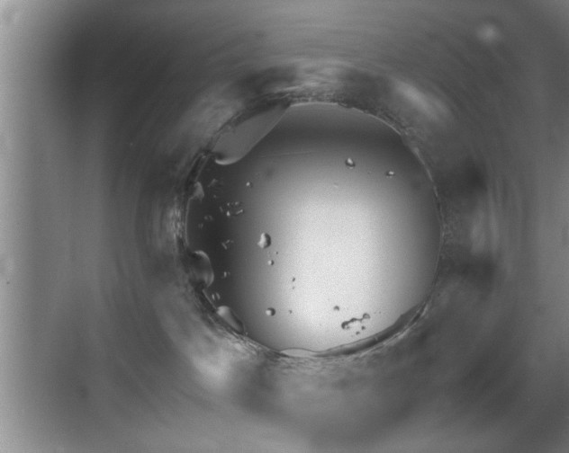 X0000069830045200605191151