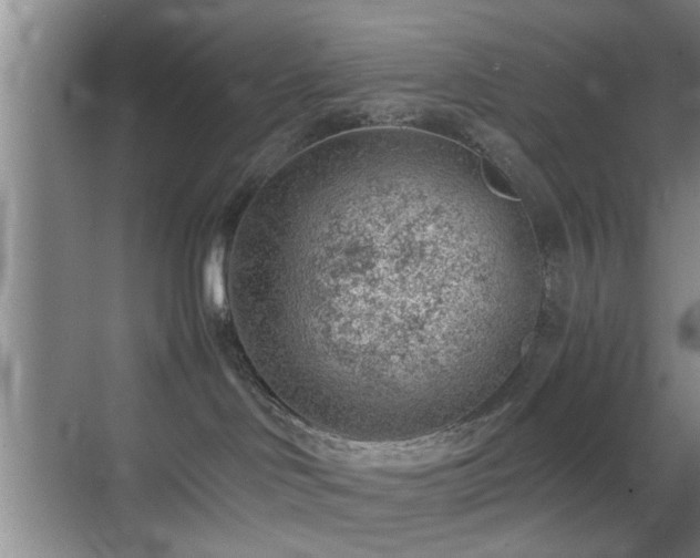 X0000069830046200605191151