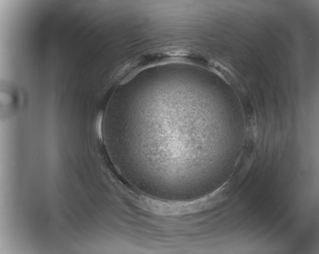 X0000069830047200605191151