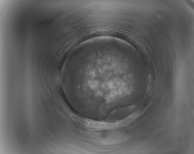 X0000069830048200605191151