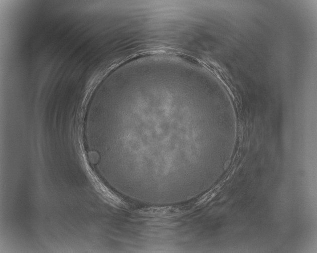 X0000069830049200605191150