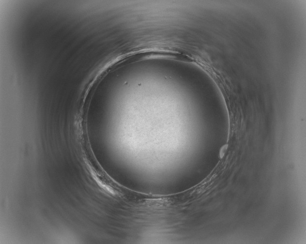 X0000069830050200605191150