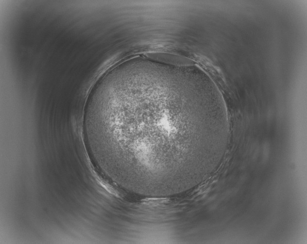 X0000069830051200605191150