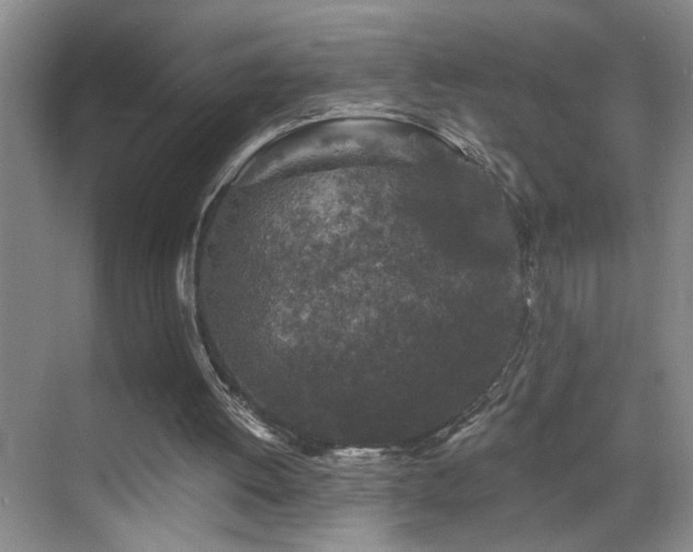 X0000069830052200605191150