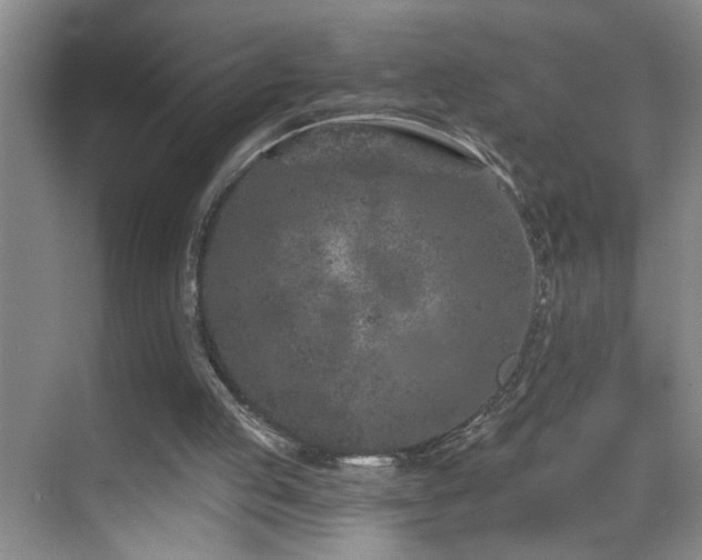 X0000069830053200605191150