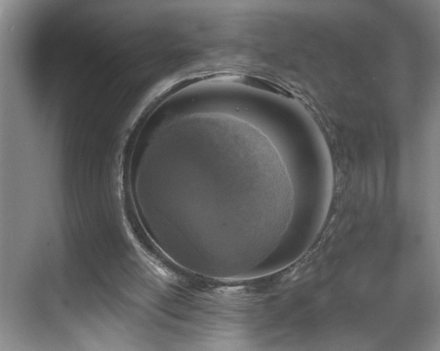 X0000069830054200605191150