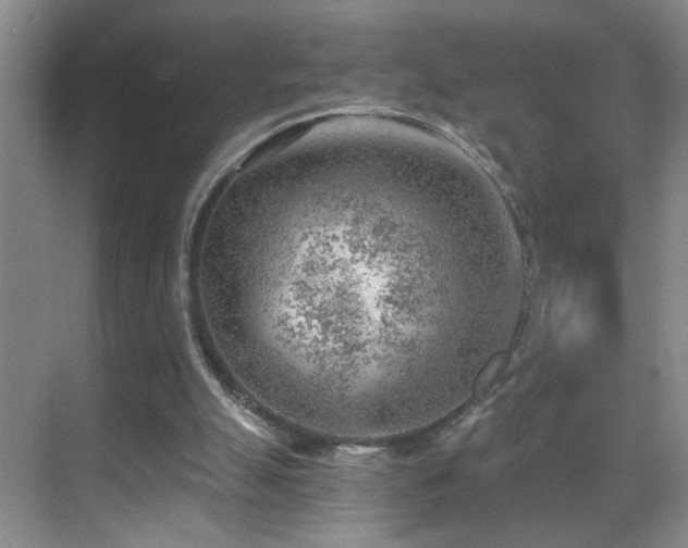 X0000069830055200605191150