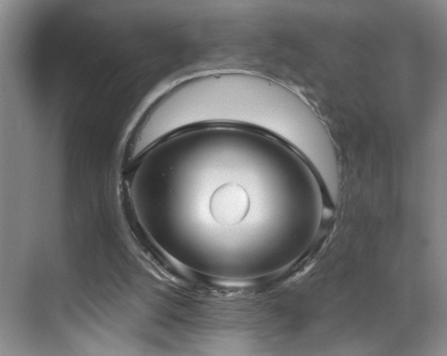 X0000069830056200605191150