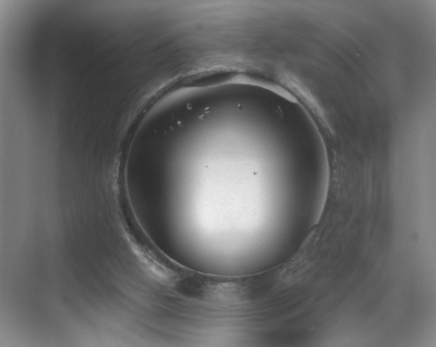 X0000069830058200605191150