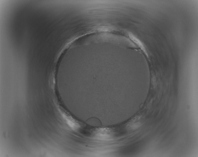 X0000069830059200605191150