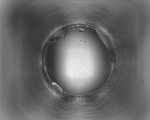 X0000069830060200605191150