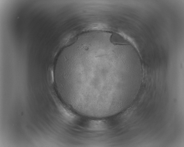 X0000069830061200605191150