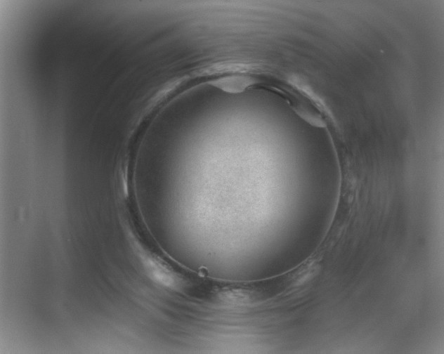 X0000069830062200605191150