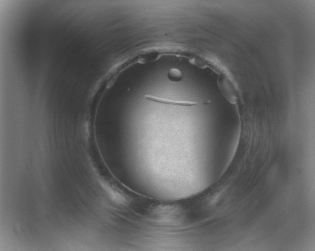 X0000069830063200605191150