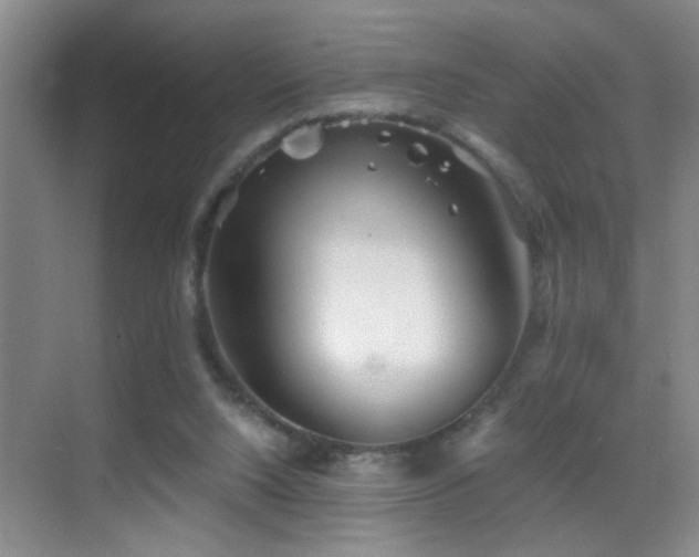 X0000069830064200605191150