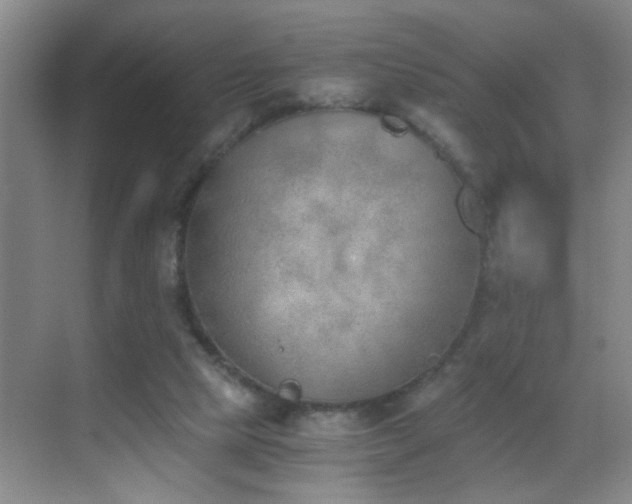 X0000069830065200605191150