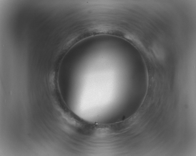 X0000069830066200605191150