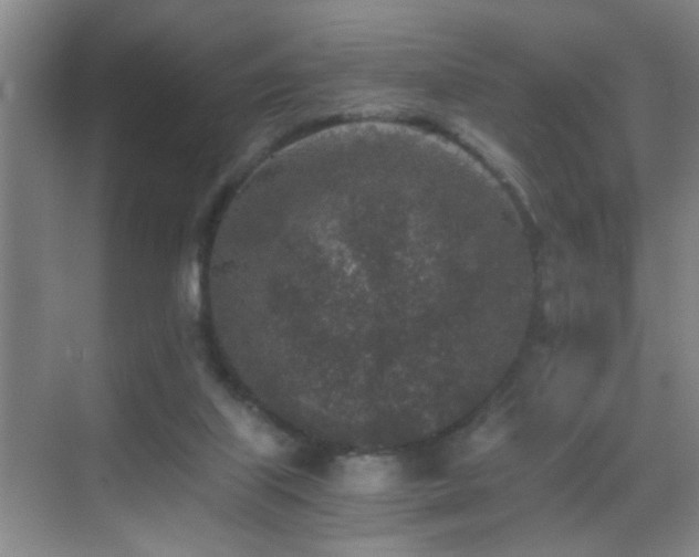 X0000069830067200605191150