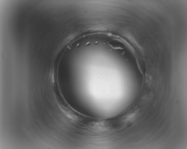 X0000069830068200605191150