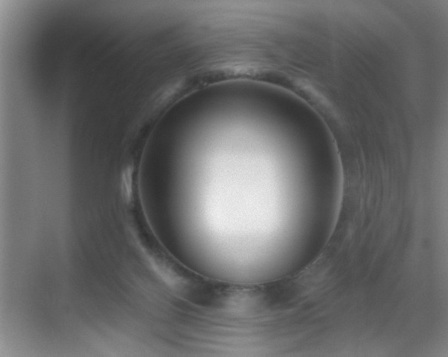 X0000069830070200605191150