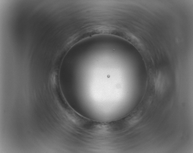 X0000069830071200605191150