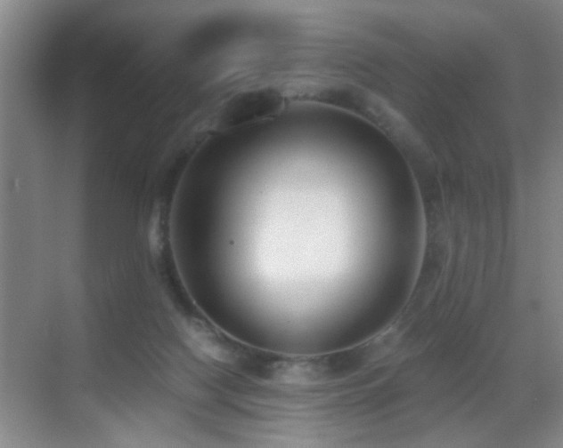 X0000069830074200605191151