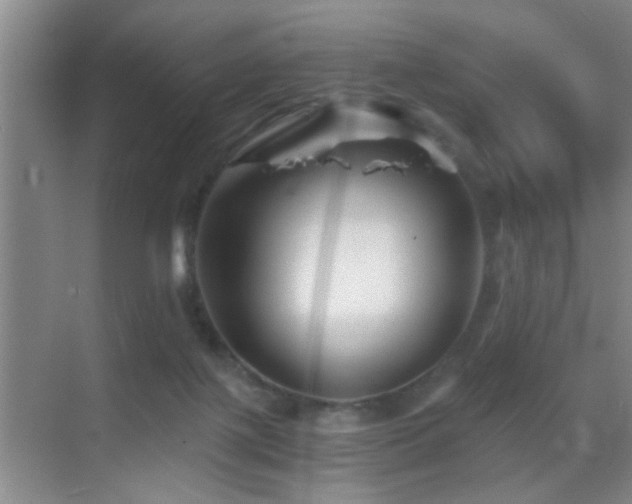 X0000069830075200605191151