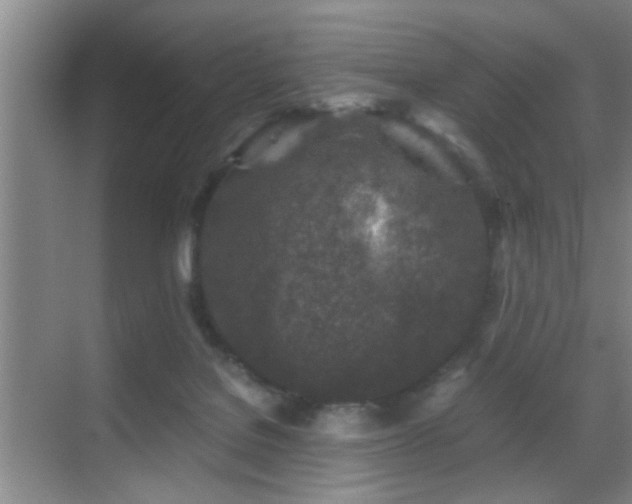 X0000069830076200605191151