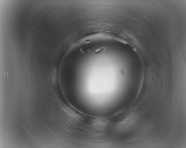 X0000069830077200605191151