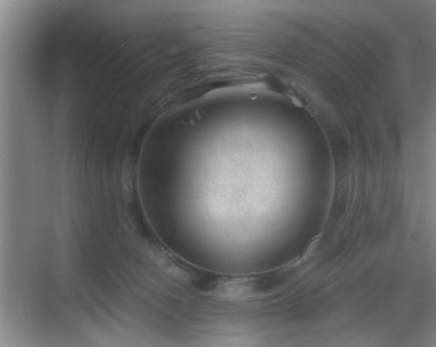 X0000069830078200605191151